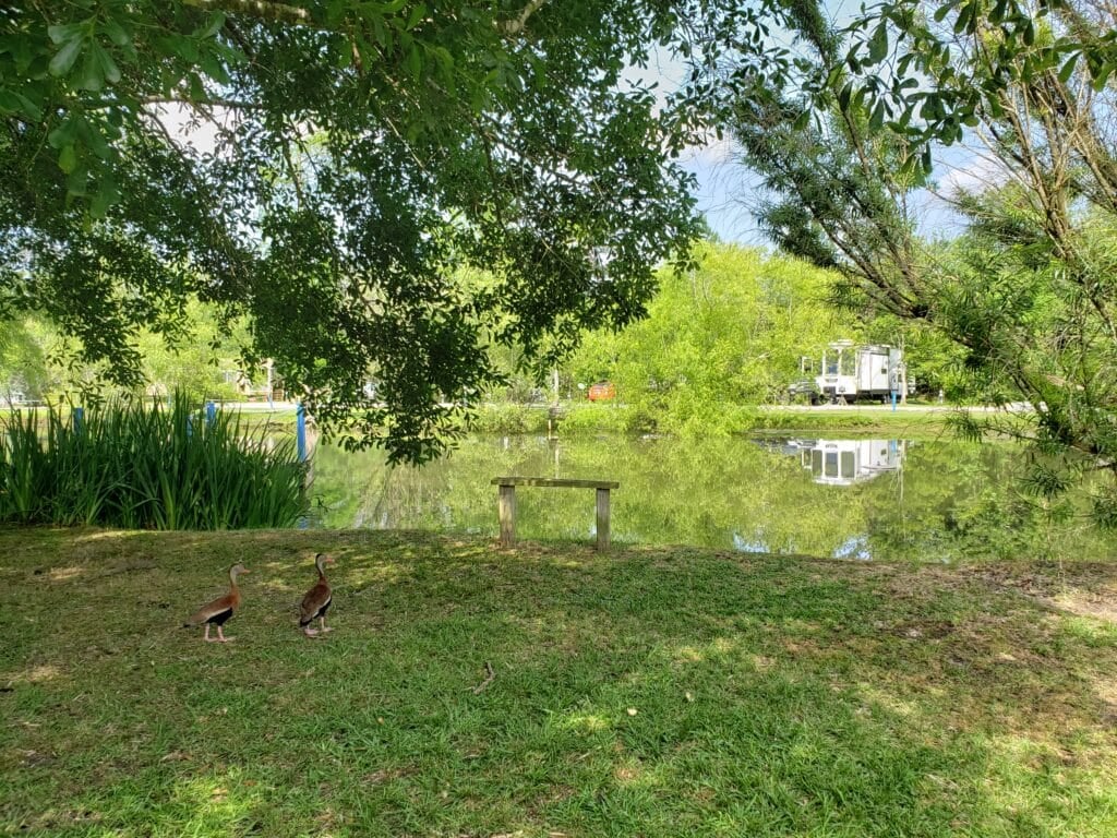 shady acres rv park bay st louis ms​